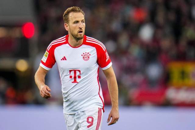 纳瓦罗与皇 纳瓦罗与皇