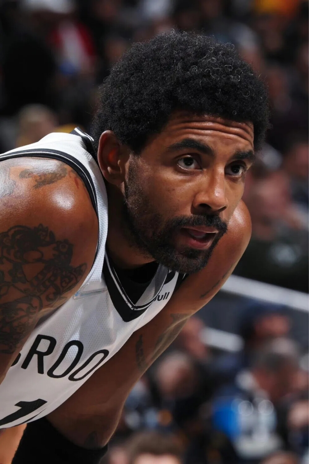 力与潜力的 力与潜力的