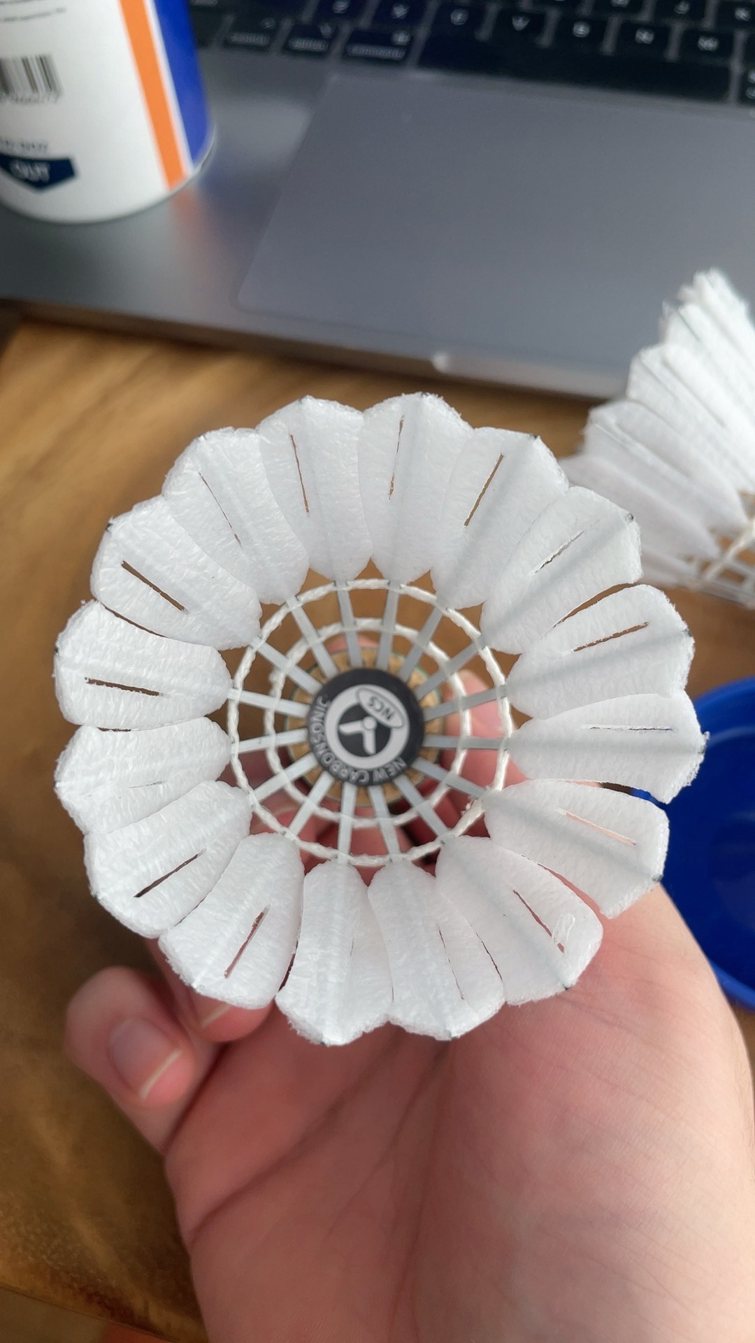 篮球从业者 篮球从业者