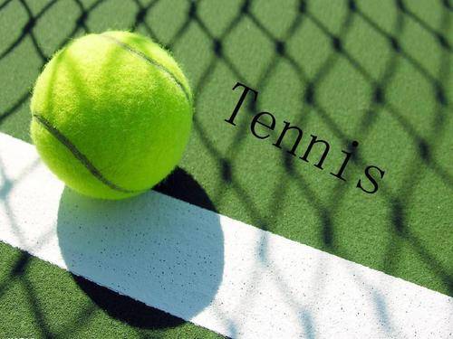 毛球运动的 毛球运动的