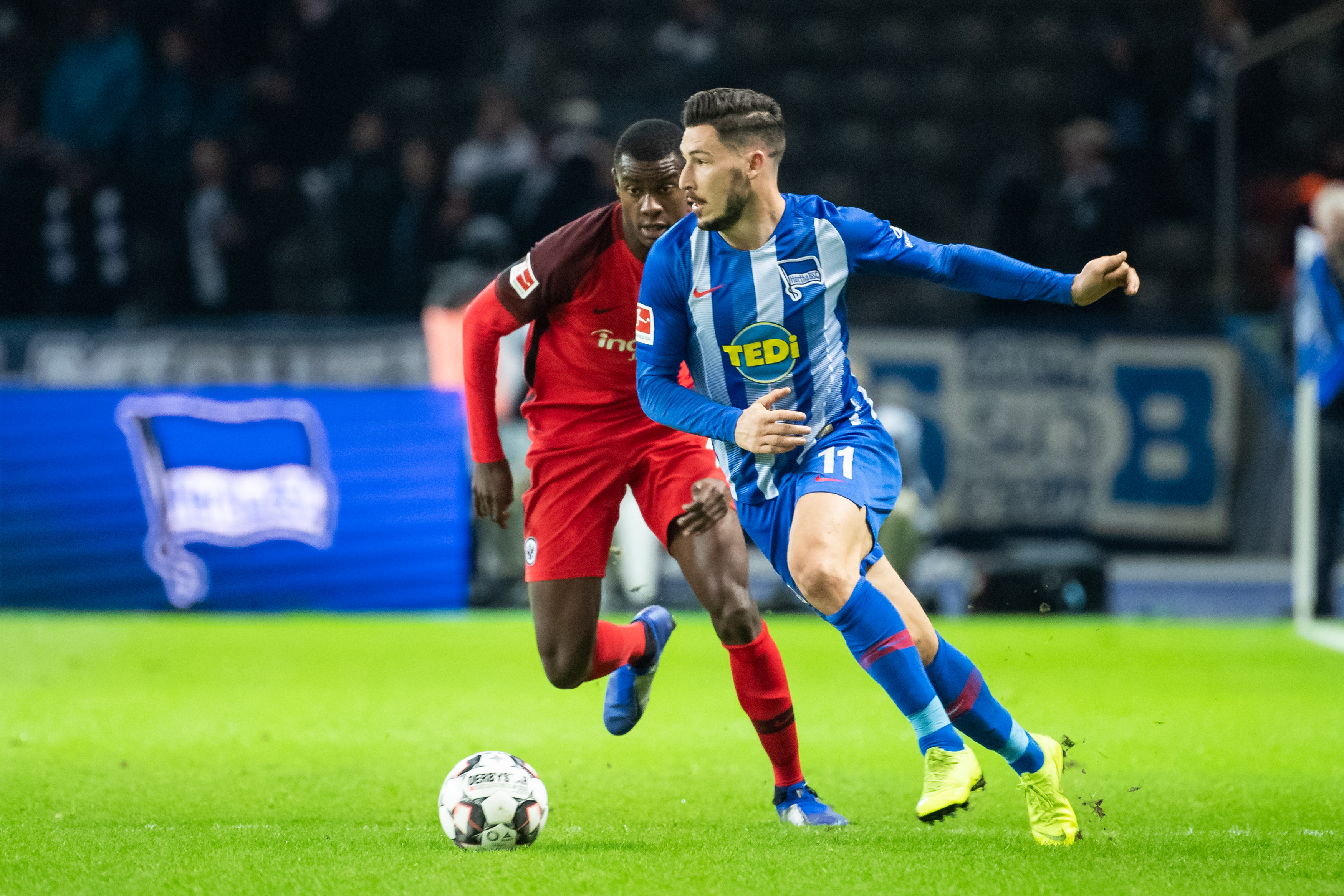 为这一领域 为这一领域