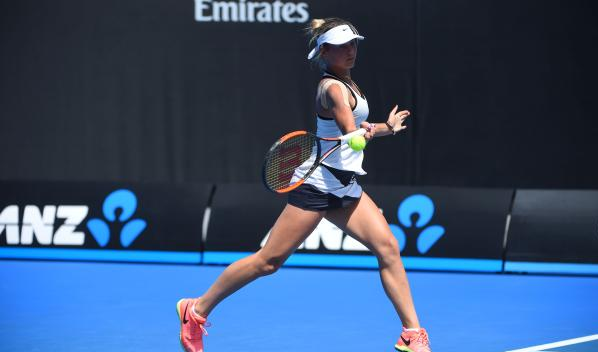 新一轮光芒 新一轮光芒